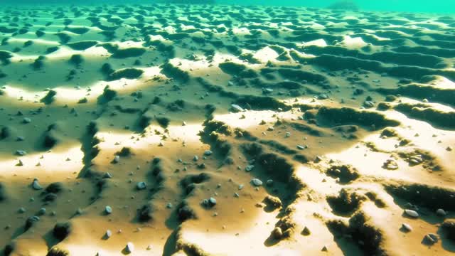 Natural systems, oceans, and sustainability-focused visuals