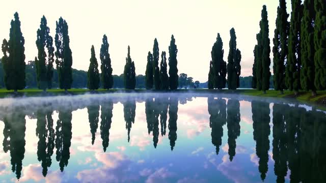 Cypress trees reflection on misty calm waters landscape AI video preview