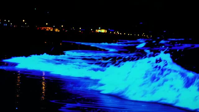 Blue nighttime ocean waves near lit coast AI video preview