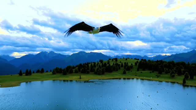 Egret flying over a scenic mountain lake landscape AI video preview