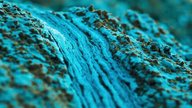 Natural systems, oceans, and sustainability-focused visuals